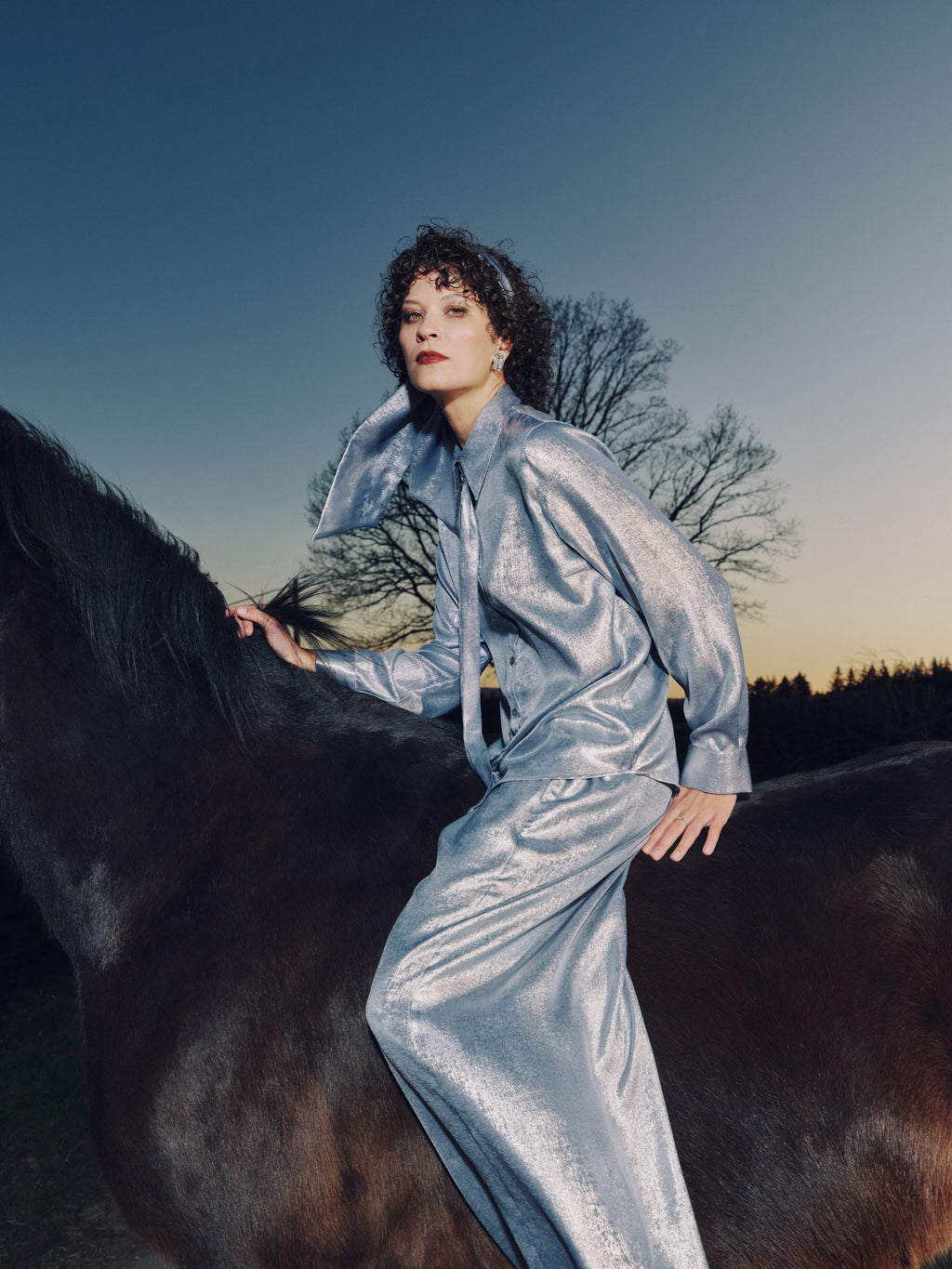Godelieve hemd in shiny silver