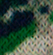 Beetle Green Wings