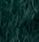 Pine
