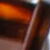Tortoise / Bottle