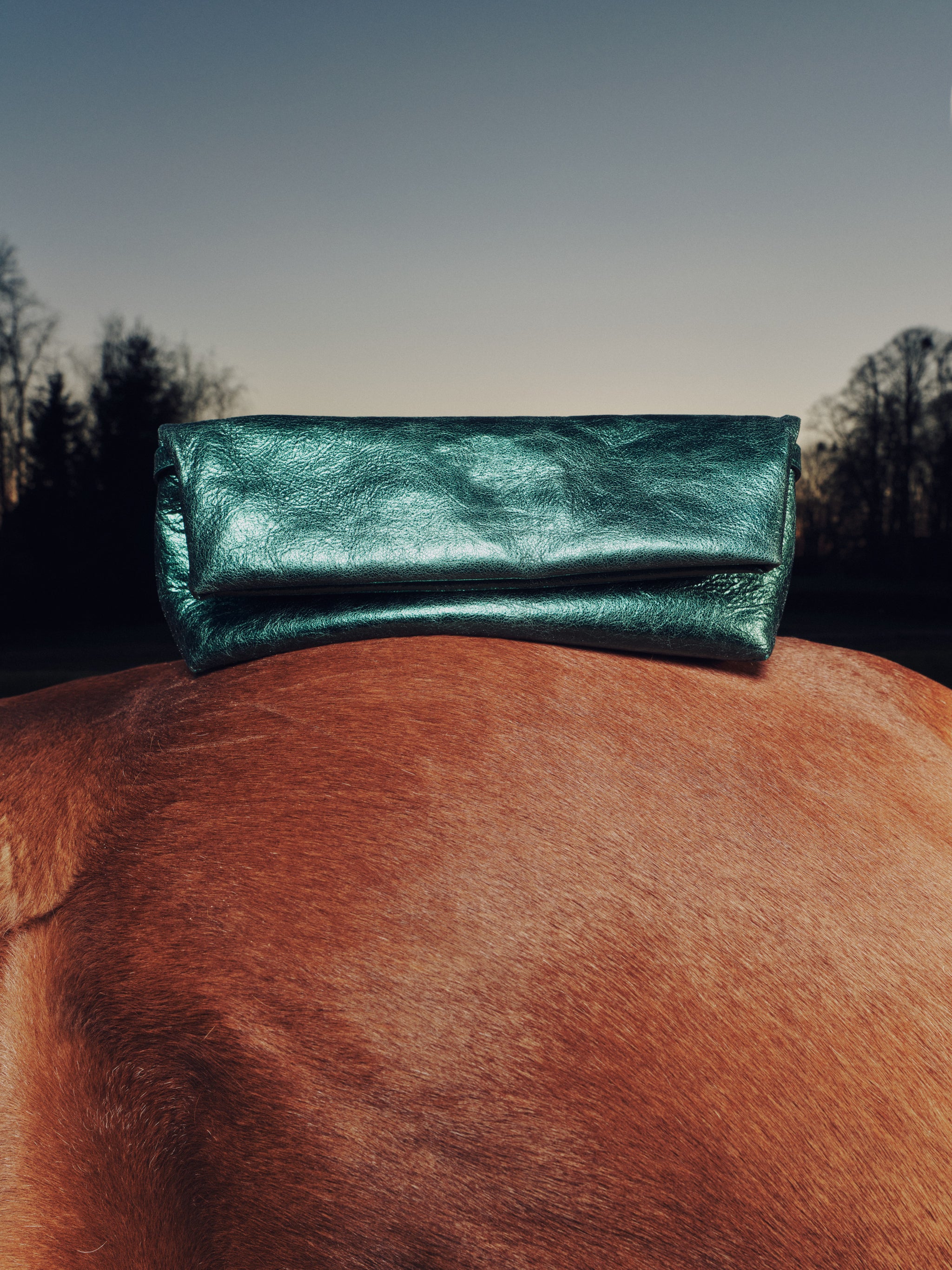 Gennaro handtas in metallic green