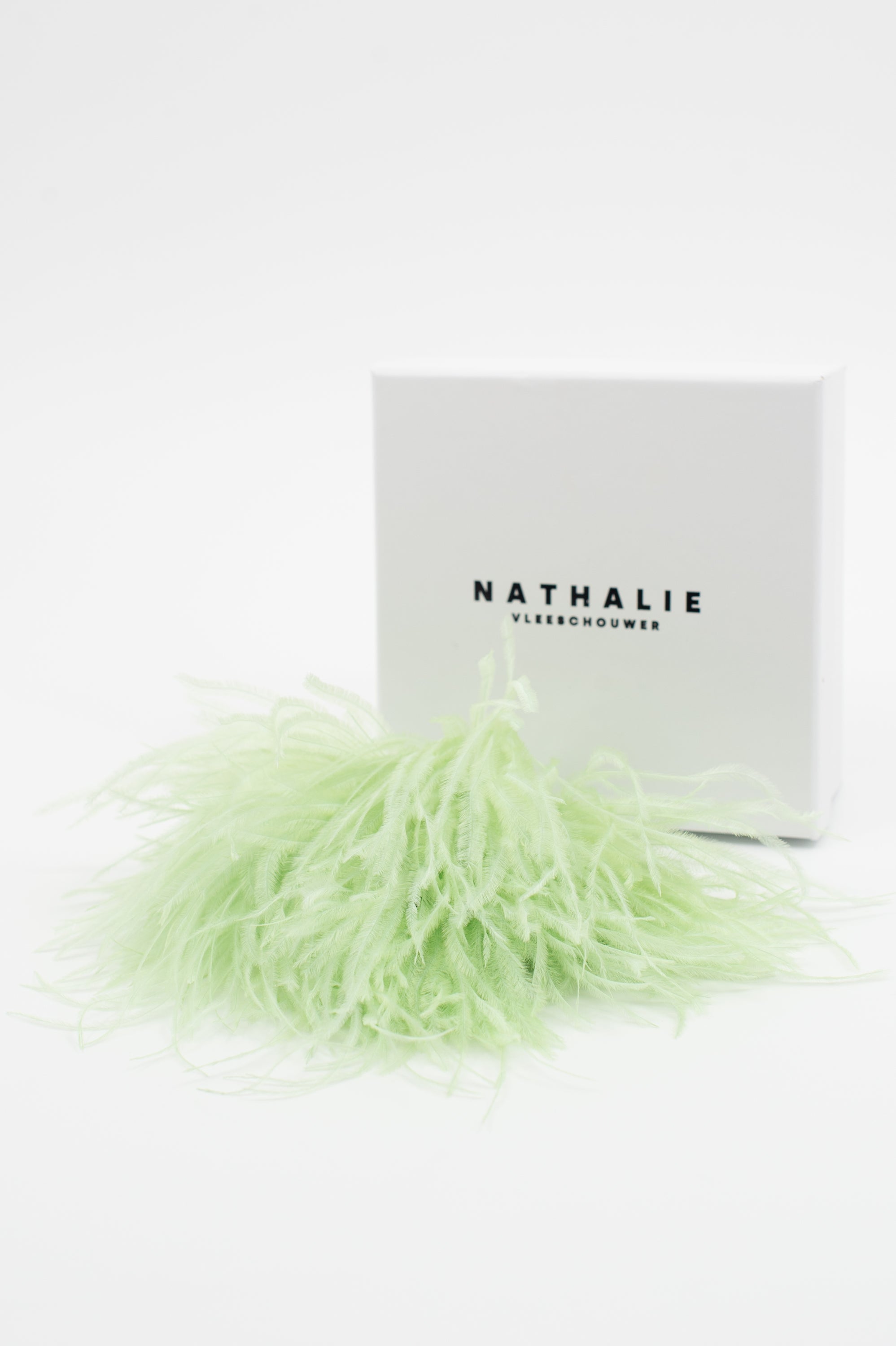 Broche Zaza avec plumes menthe 