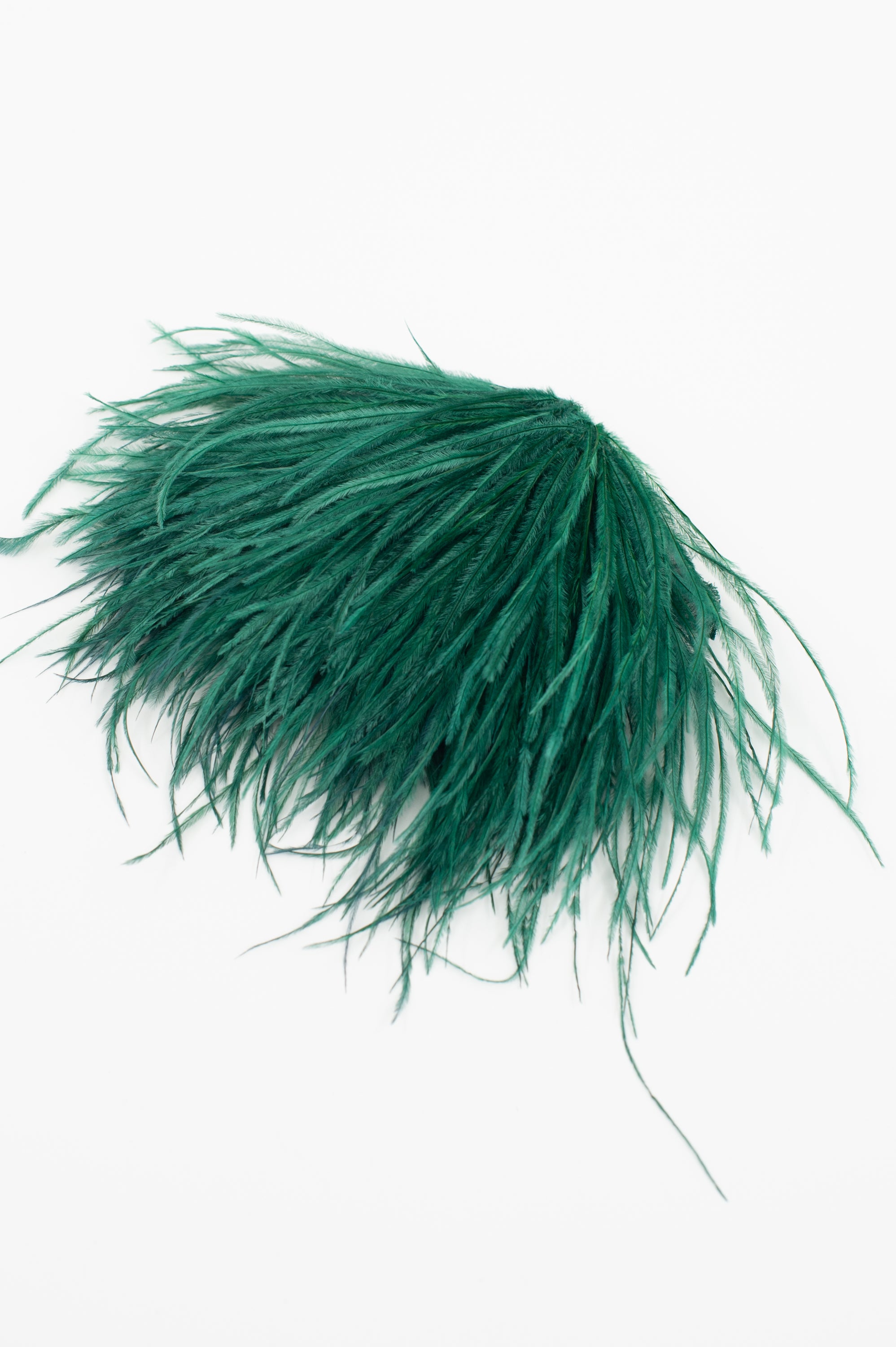 Broche Zaza avec plumes vert pin