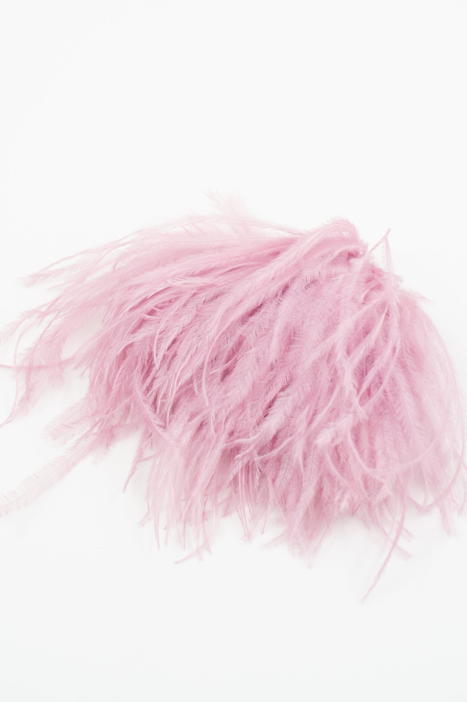 Zaza broche met veren in lila