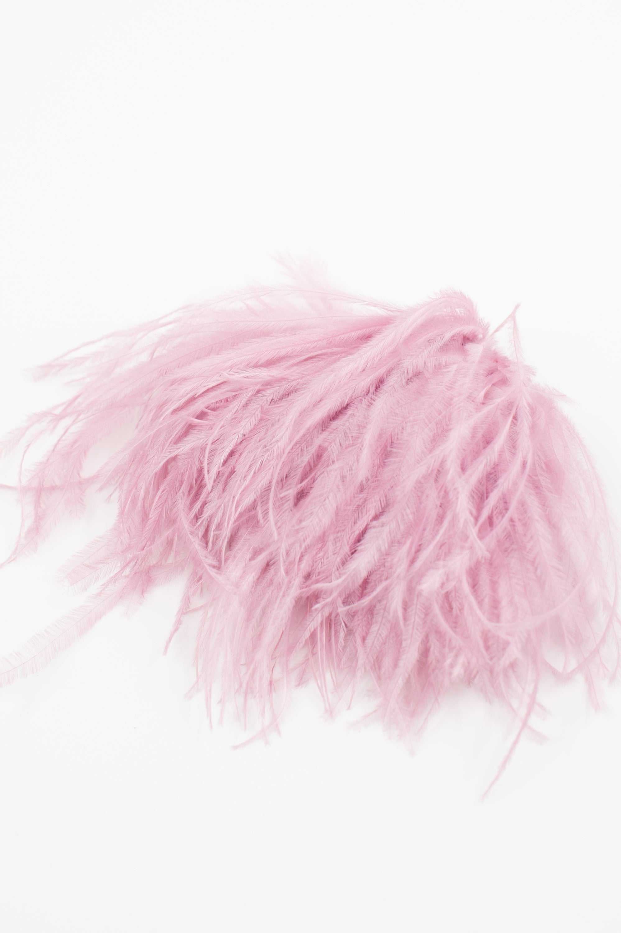 Broche Zaza avec plumes lilas