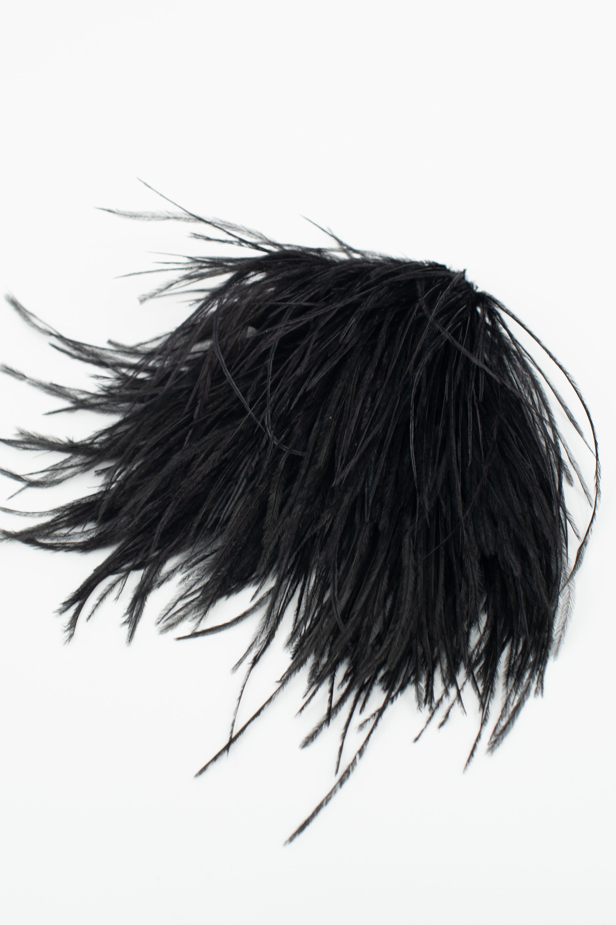 Broche Zaza avec plumes noires
