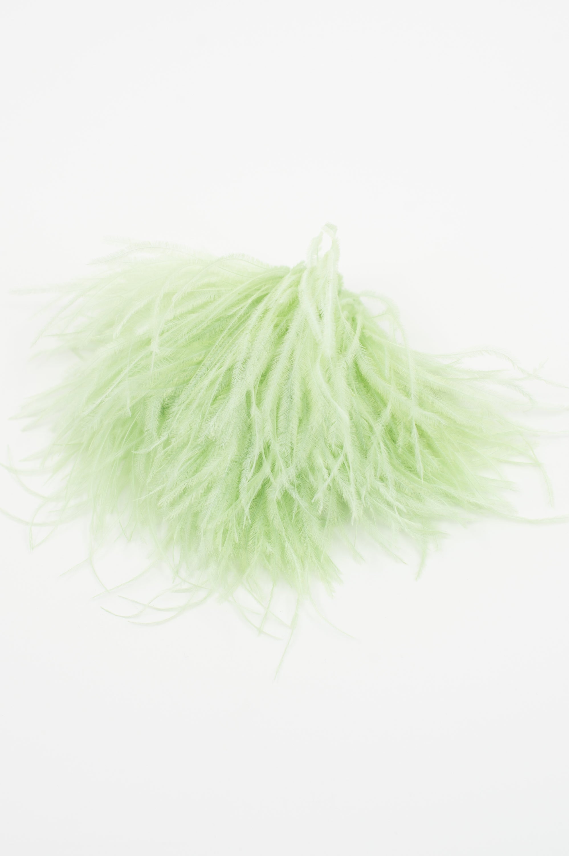 Broche Zaza avec plumes menthe 