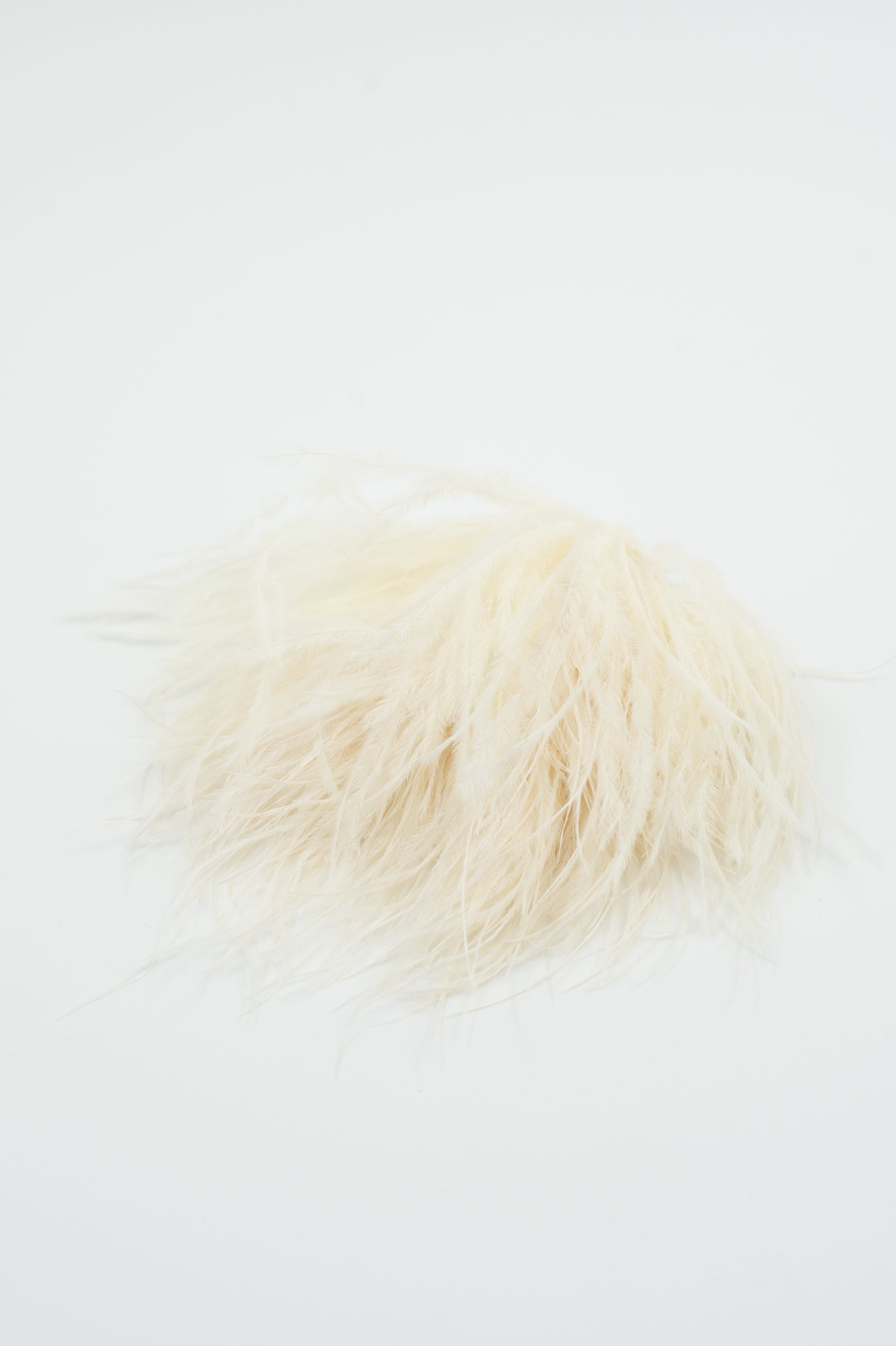 Broche Zaza avec plumes ecru