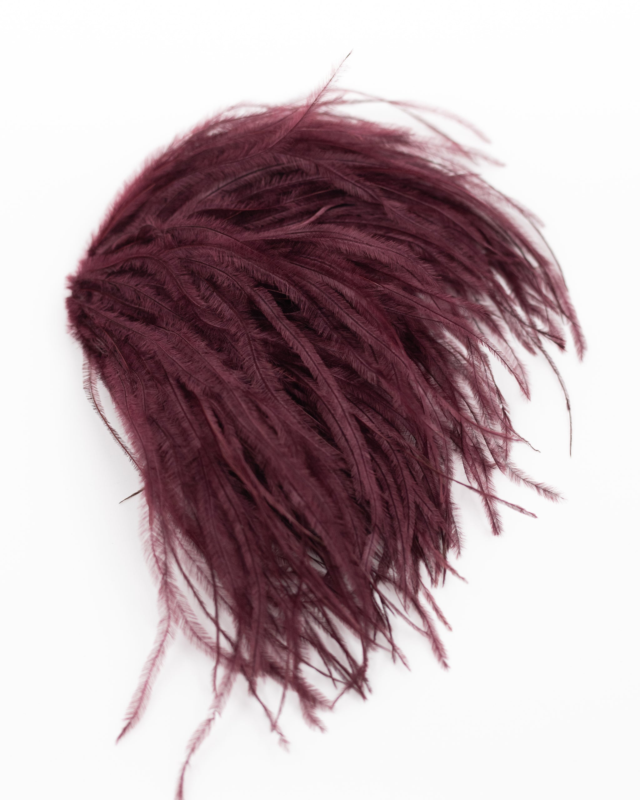 Zaza broche met veren in merlot