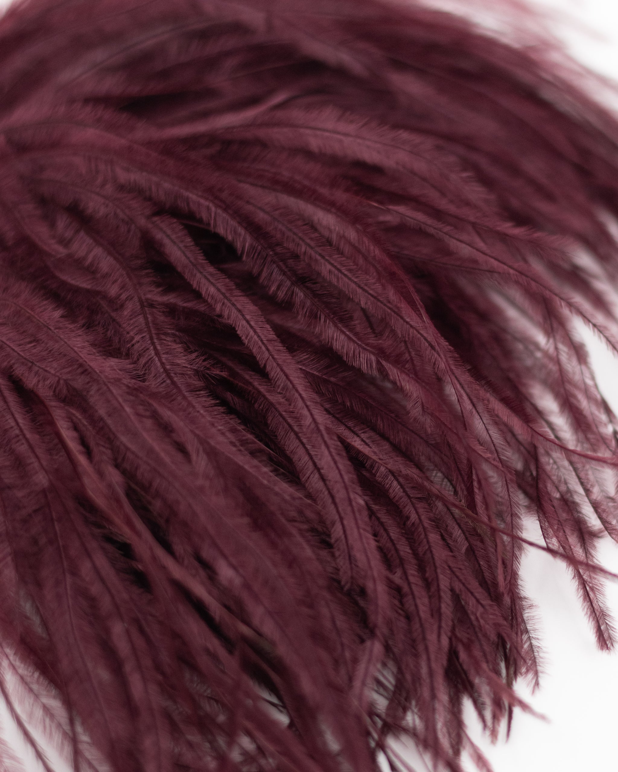Zaza broche met veren in merlot