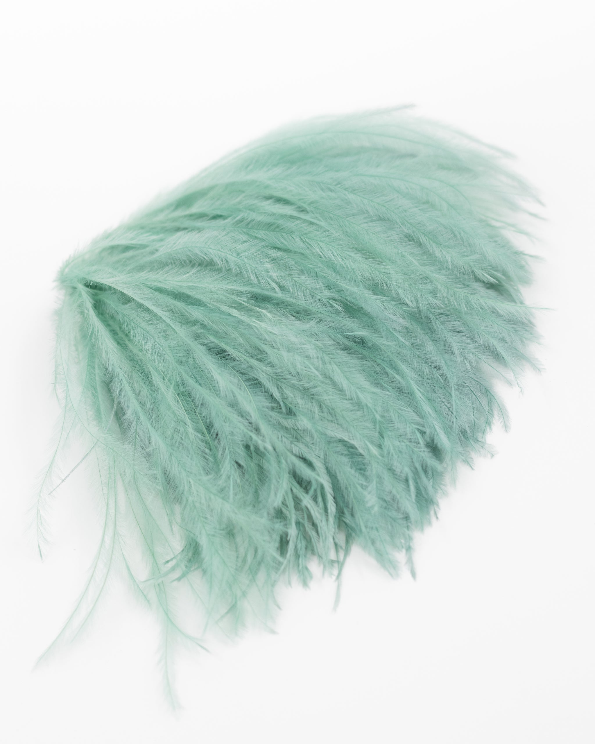 Zaza Brosche mit Aqua-Federn