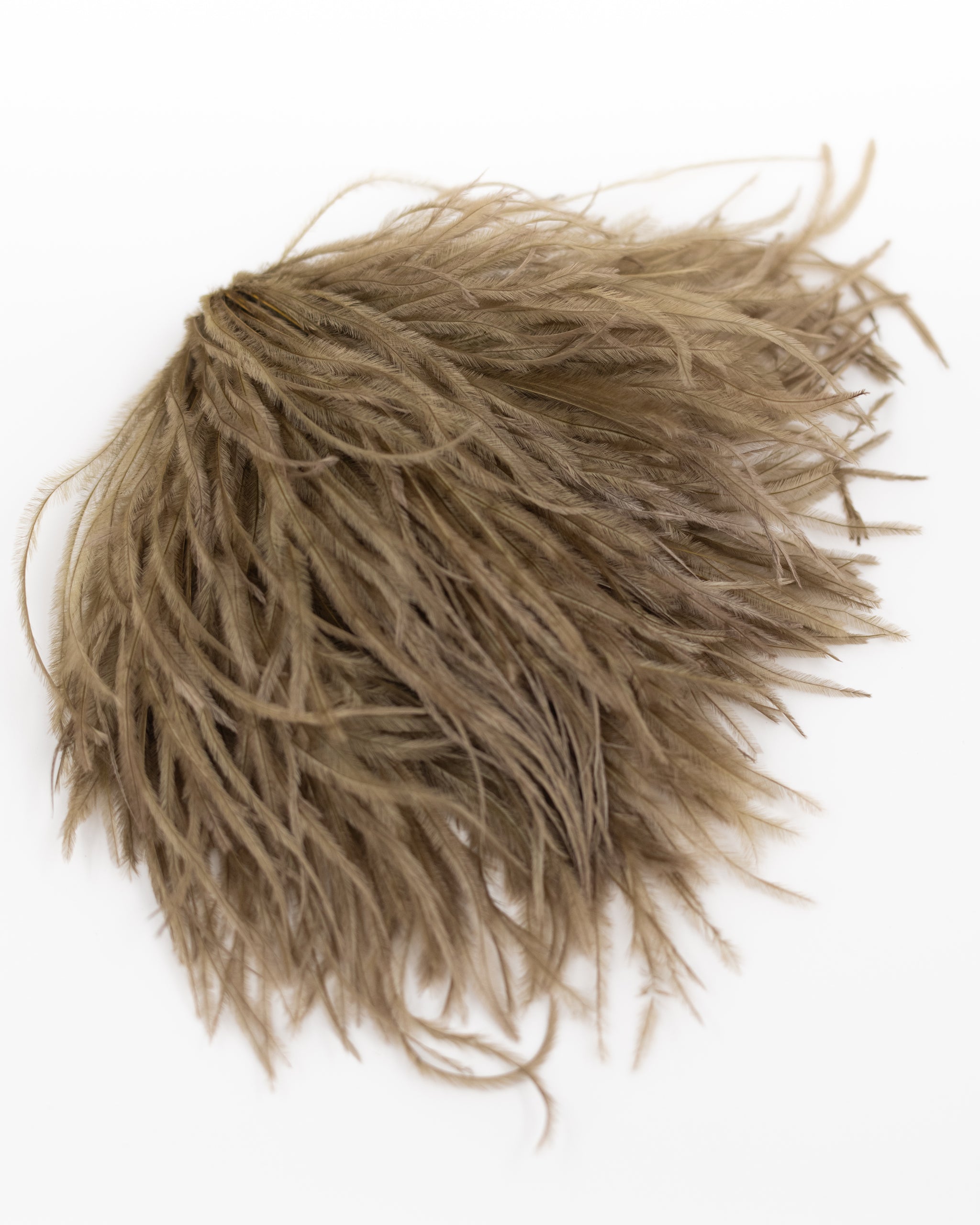 Zaza feathers brooch in sepia brown