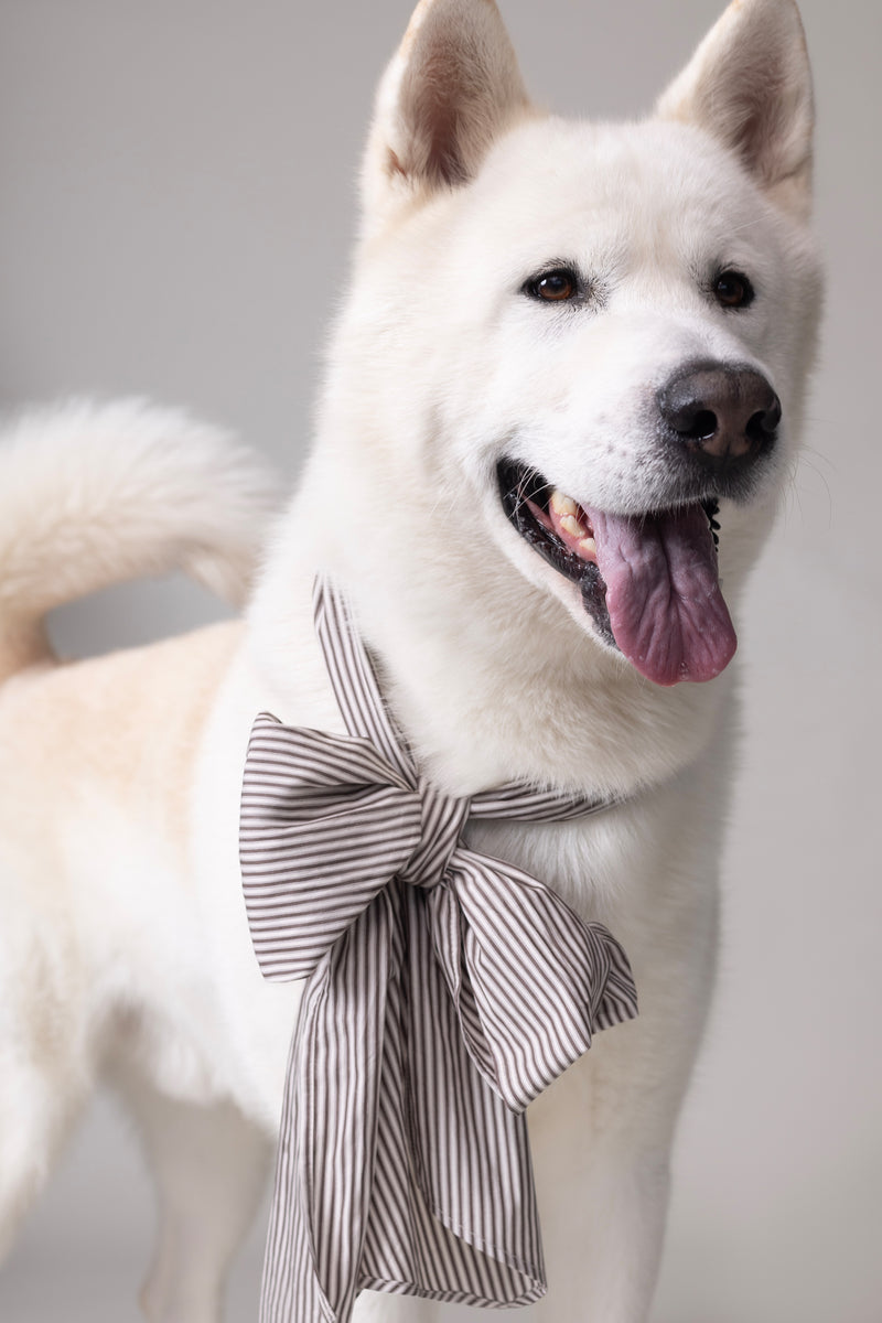 Olive strik in brown ecru vintage cotton stripes