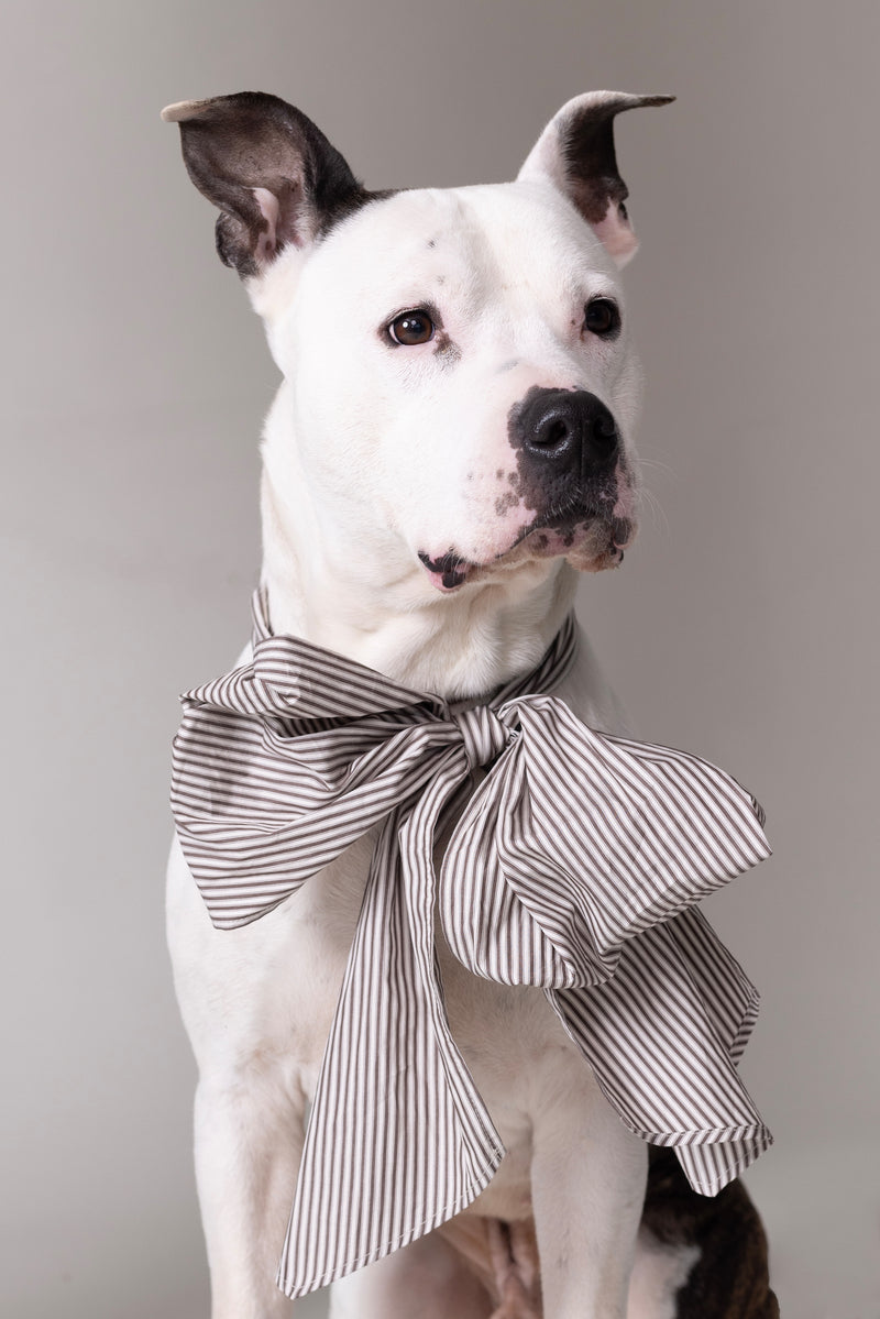 Olive strik in brown ecru vintage cotton stripes