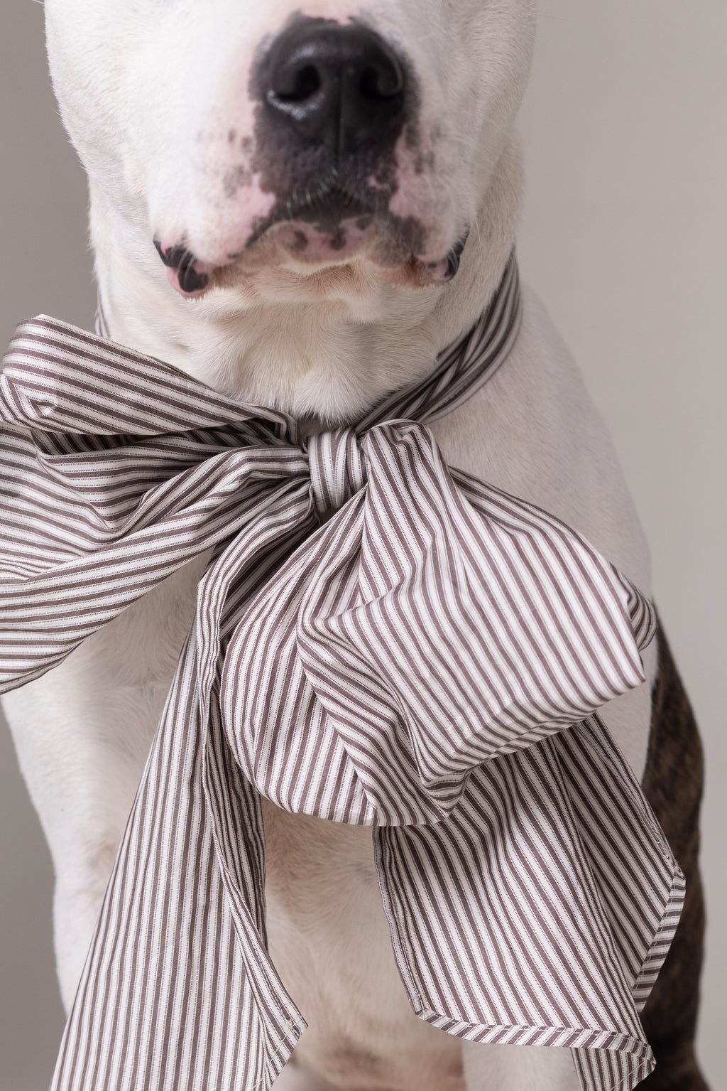 Olive strik in brown ecru vintage cotton stripes