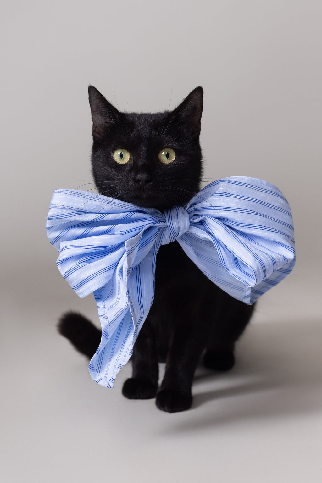 Olive strik in blue vintage cotton stripes