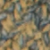 Blue/Beige