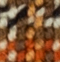 Brown/Orange Checks