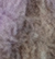 Sandstone/Yak/Lilac